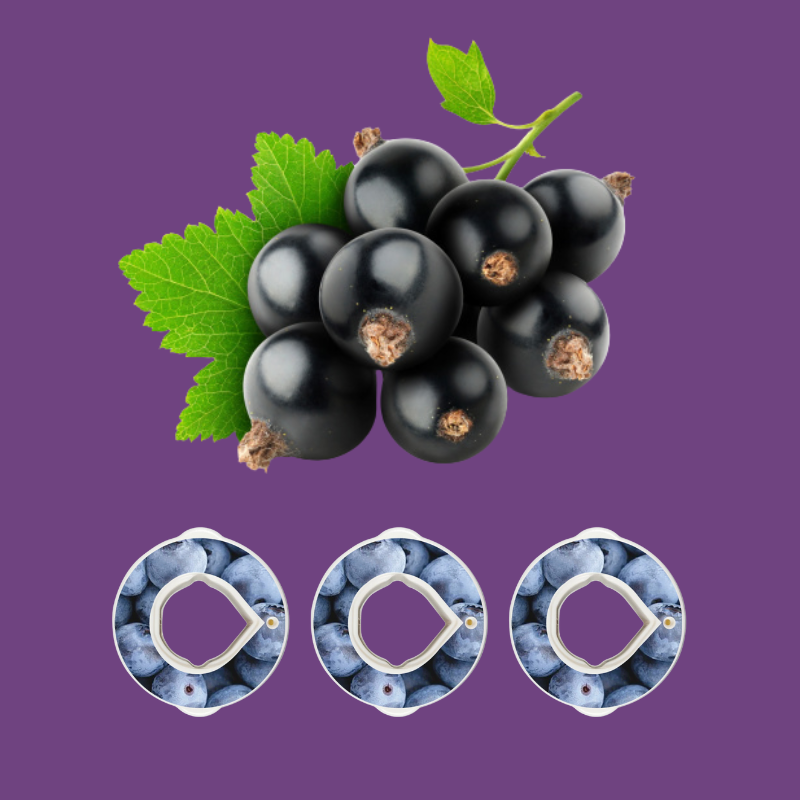 Pods BLACKCURRANT x3 π
