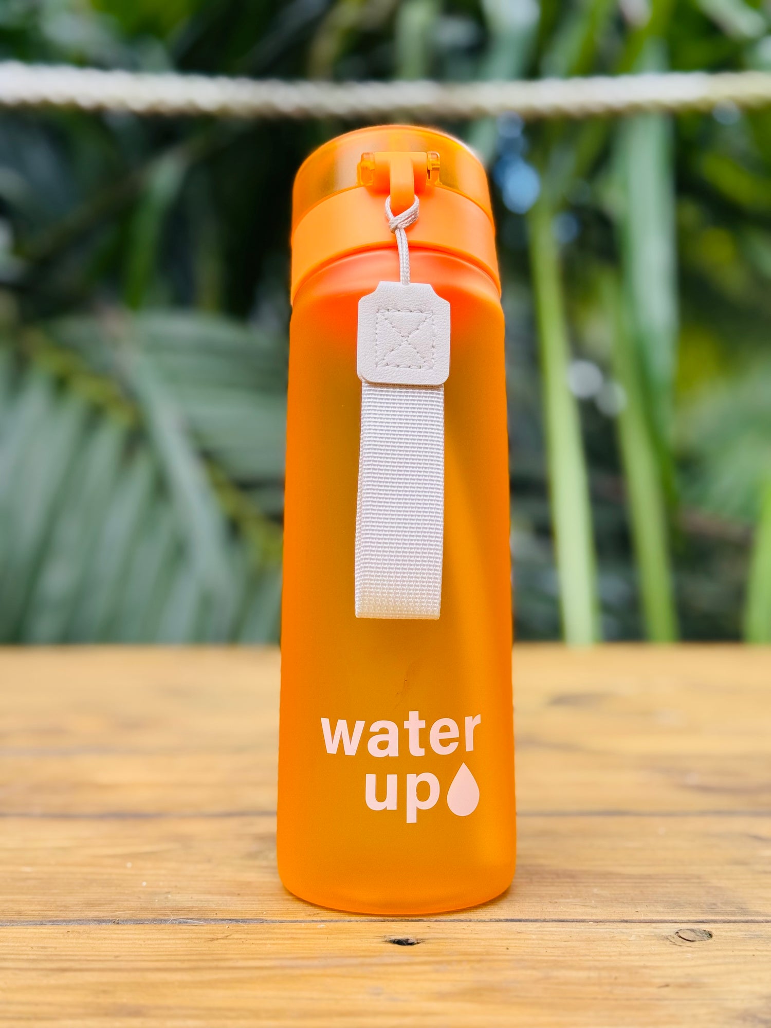 "Orange" Bottle + 3 Pods 🧡